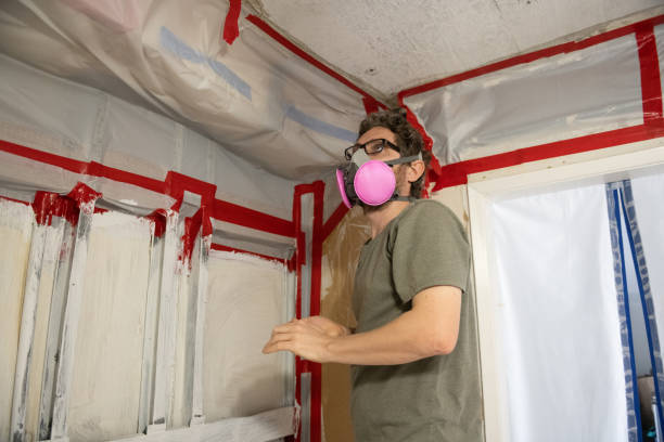 Best Mold Damage Restoration  in Sophia, WV