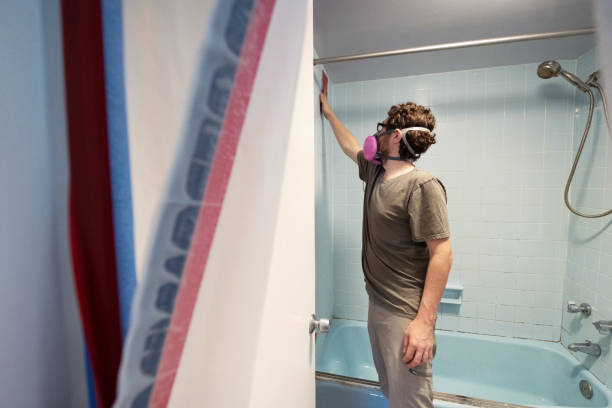Professional Mold Removal in Sophia, WV