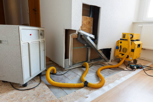 Best Biohazard Mold Removal  in Sophia, WV